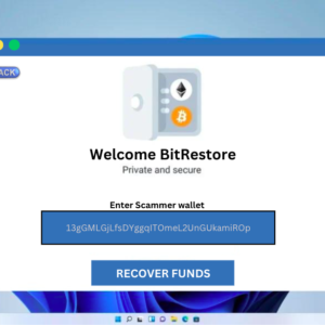 Crypto Recovery Software