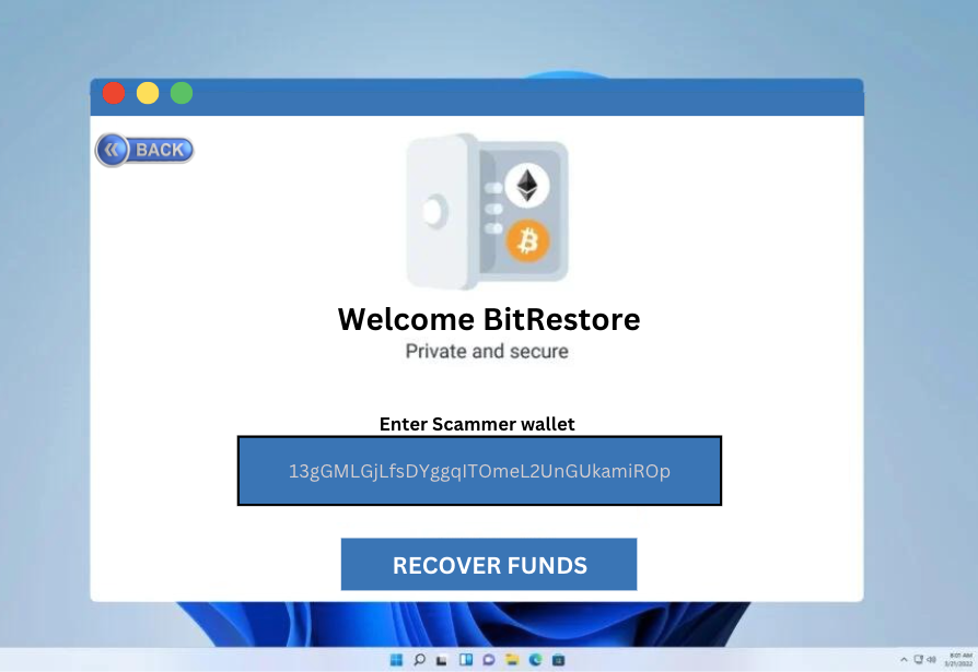 Crypto Recovery Software